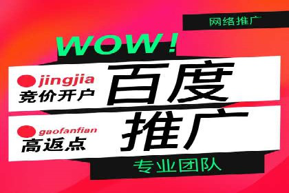 行业领先企业如何通过信息流广告实现转化——案例分析